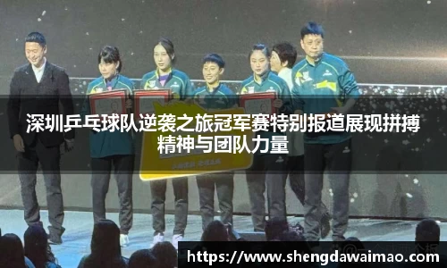 深圳乒乓球队逆袭之旅冠军赛特别报道展现拼搏精神与团队力量